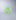 Lime Zest/White