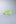 Lime Zest/White